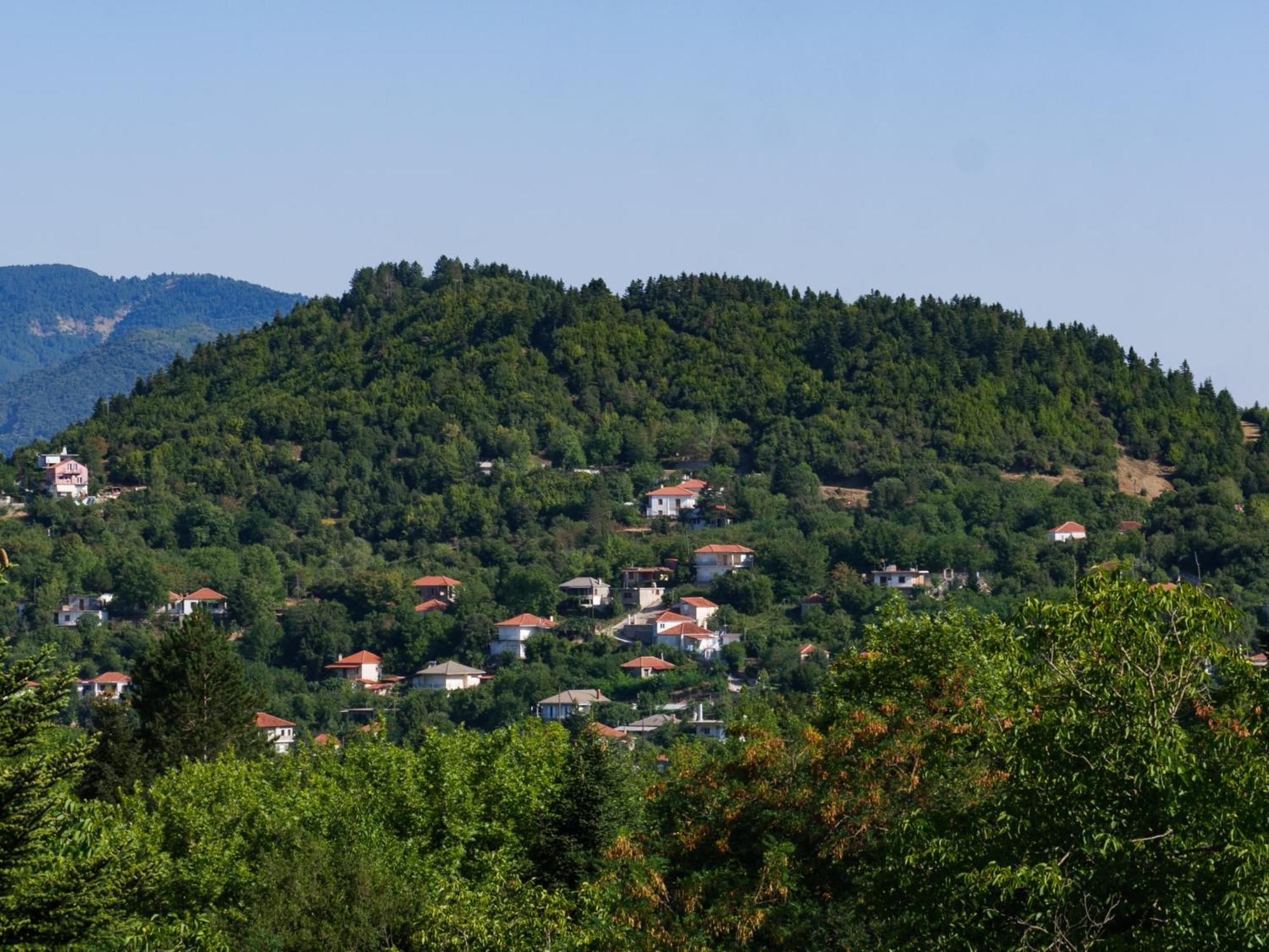 Arbor Hosting * Ktistades